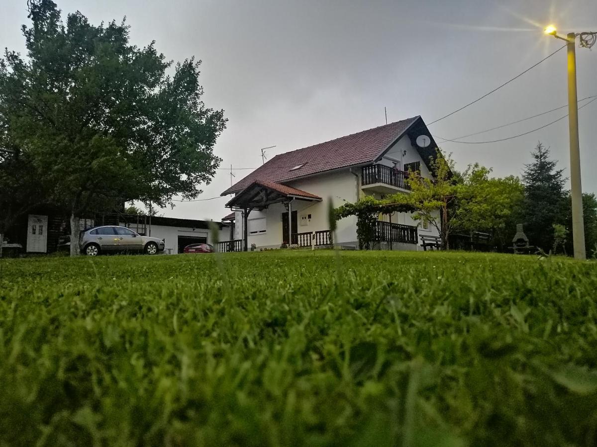 House Viktoria Hotel Selište Drežničko Buitenkant foto