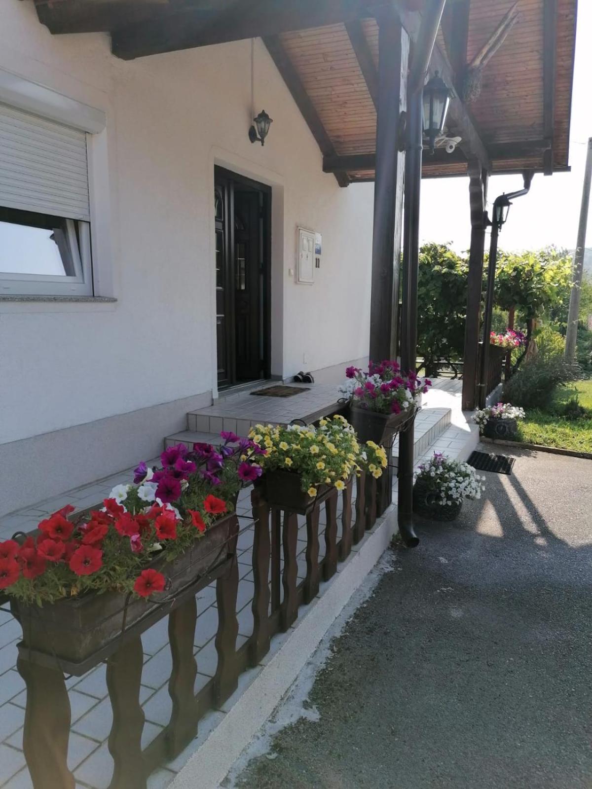 House Viktoria Hotel Selište Drežničko Buitenkant foto