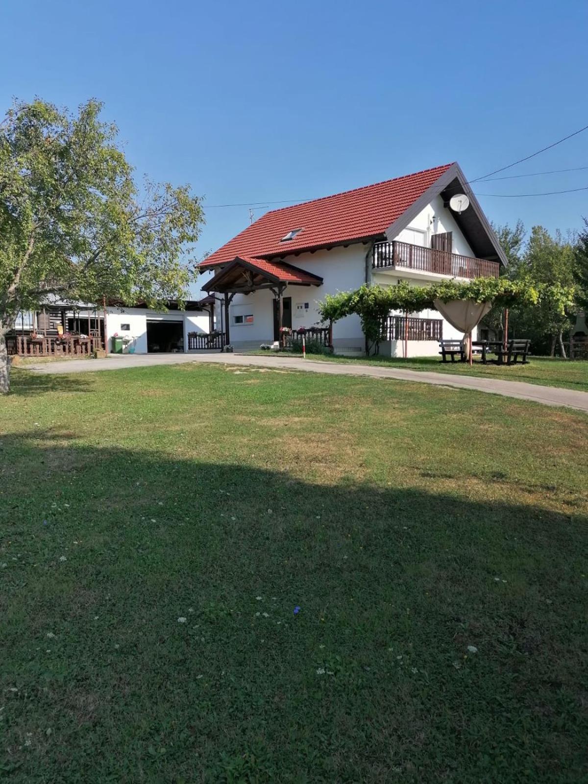 House Viktoria Hotel Selište Drežničko Buitenkant foto