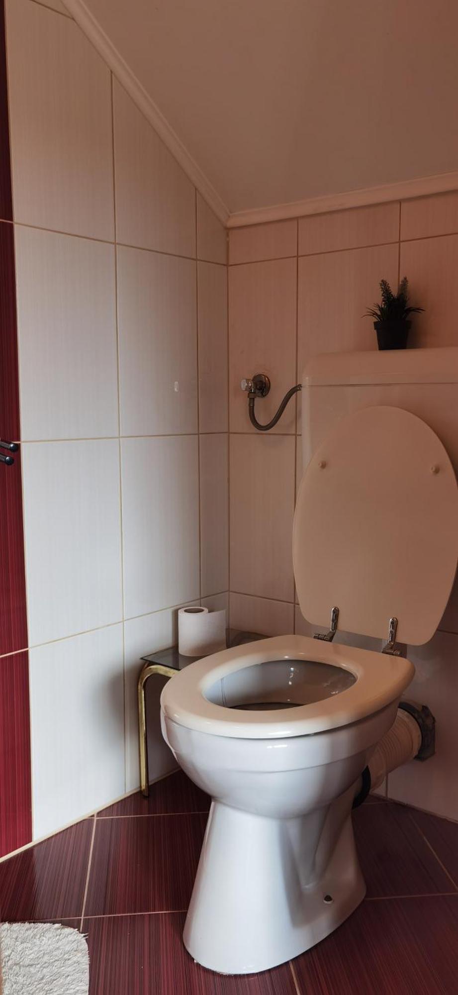 House Viktoria Hotel Selište Drežničko Buitenkant foto