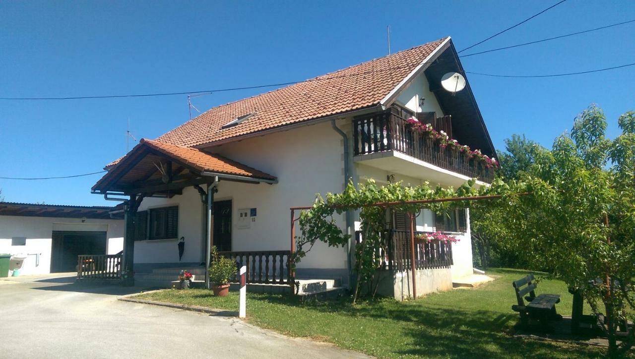 House Viktoria Hotel Selište Drežničko Buitenkant foto