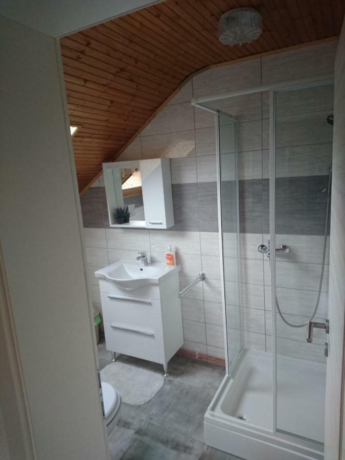 House Viktoria Hotel Selište Drežničko Buitenkant foto