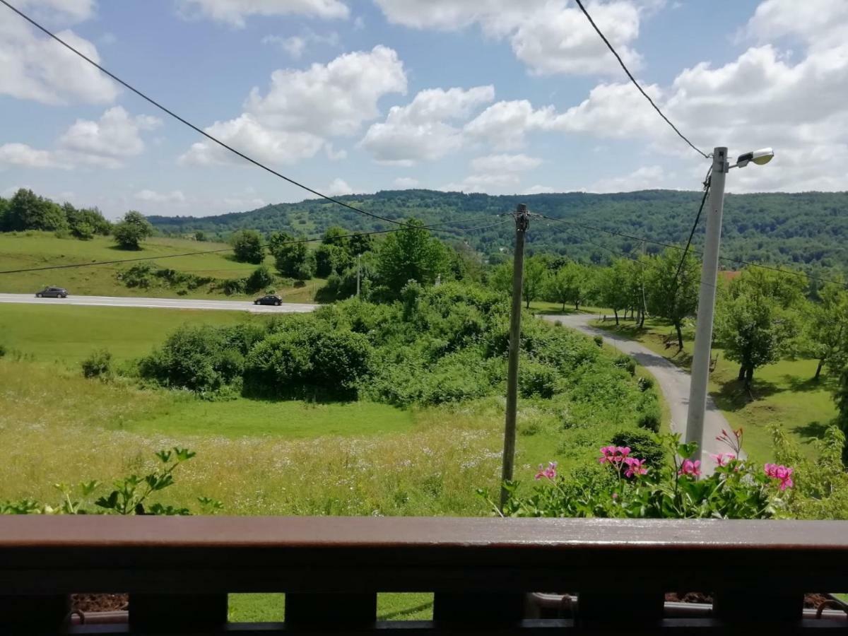 House Viktoria Hotel Selište Drežničko Buitenkant foto