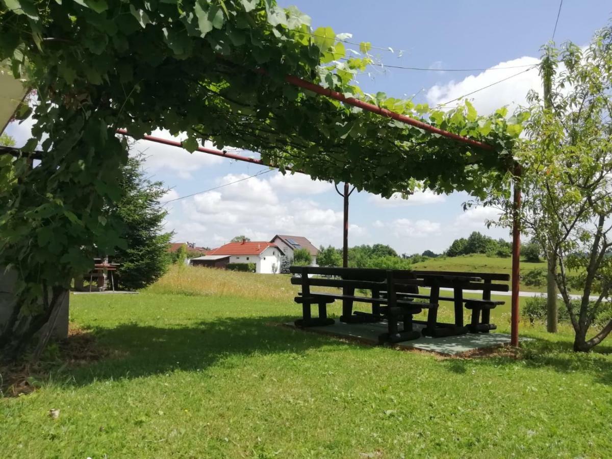 House Viktoria Hotel Selište Drežničko Buitenkant foto