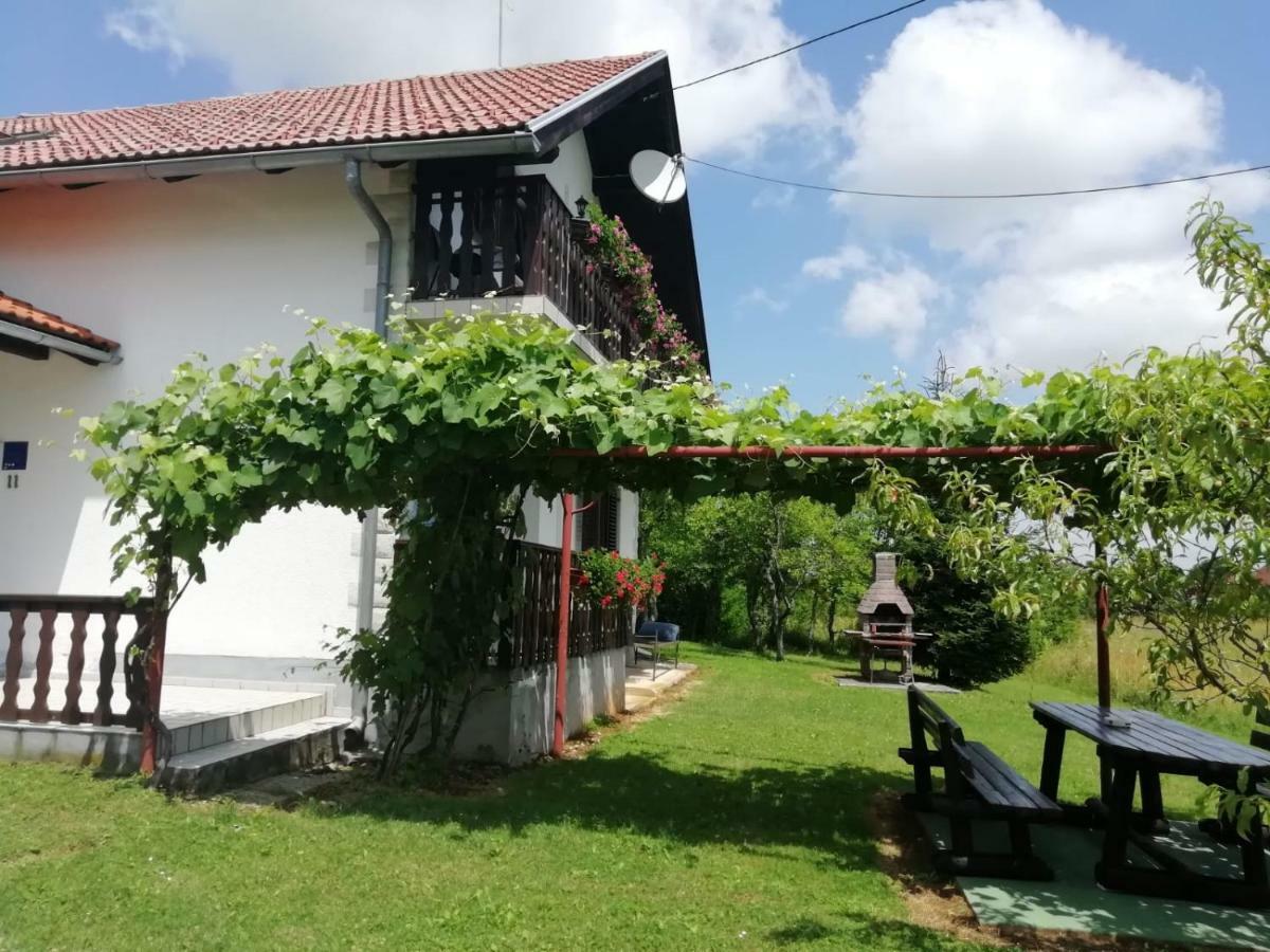 House Viktoria Hotel Selište Drežničko Buitenkant foto
