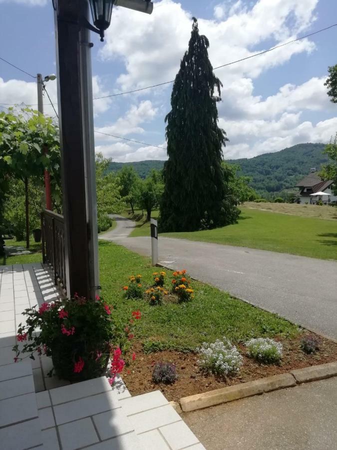 House Viktoria Hotel Selište Drežničko Buitenkant foto